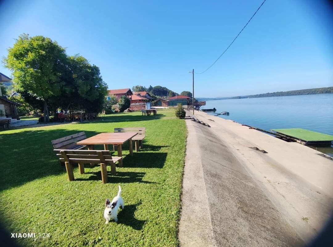 Vila Maza Smederevo Exterior photo